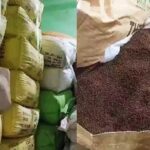 Lucknow Synthetic Tea Leaves