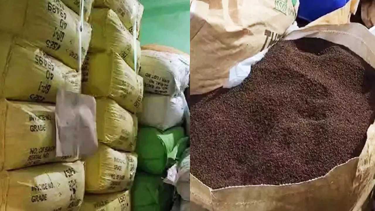 Lucknow Synthetic Tea Leaves