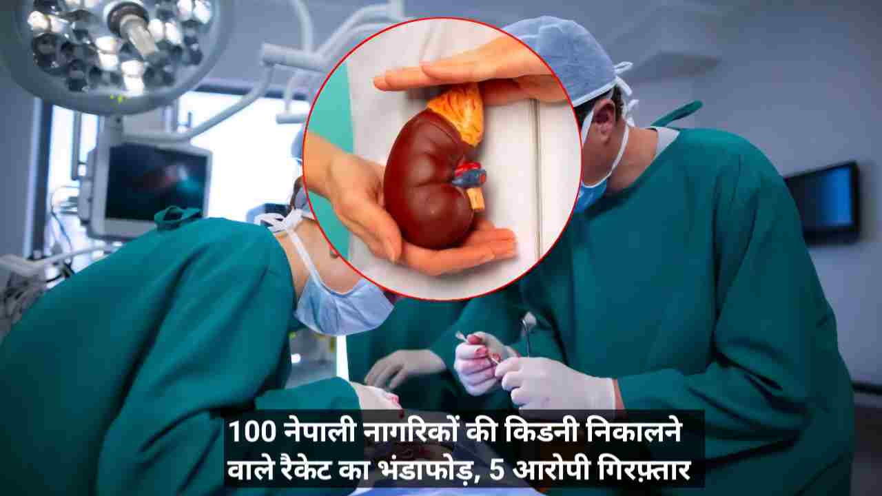 Nepal Ellegal Kidney Racket
