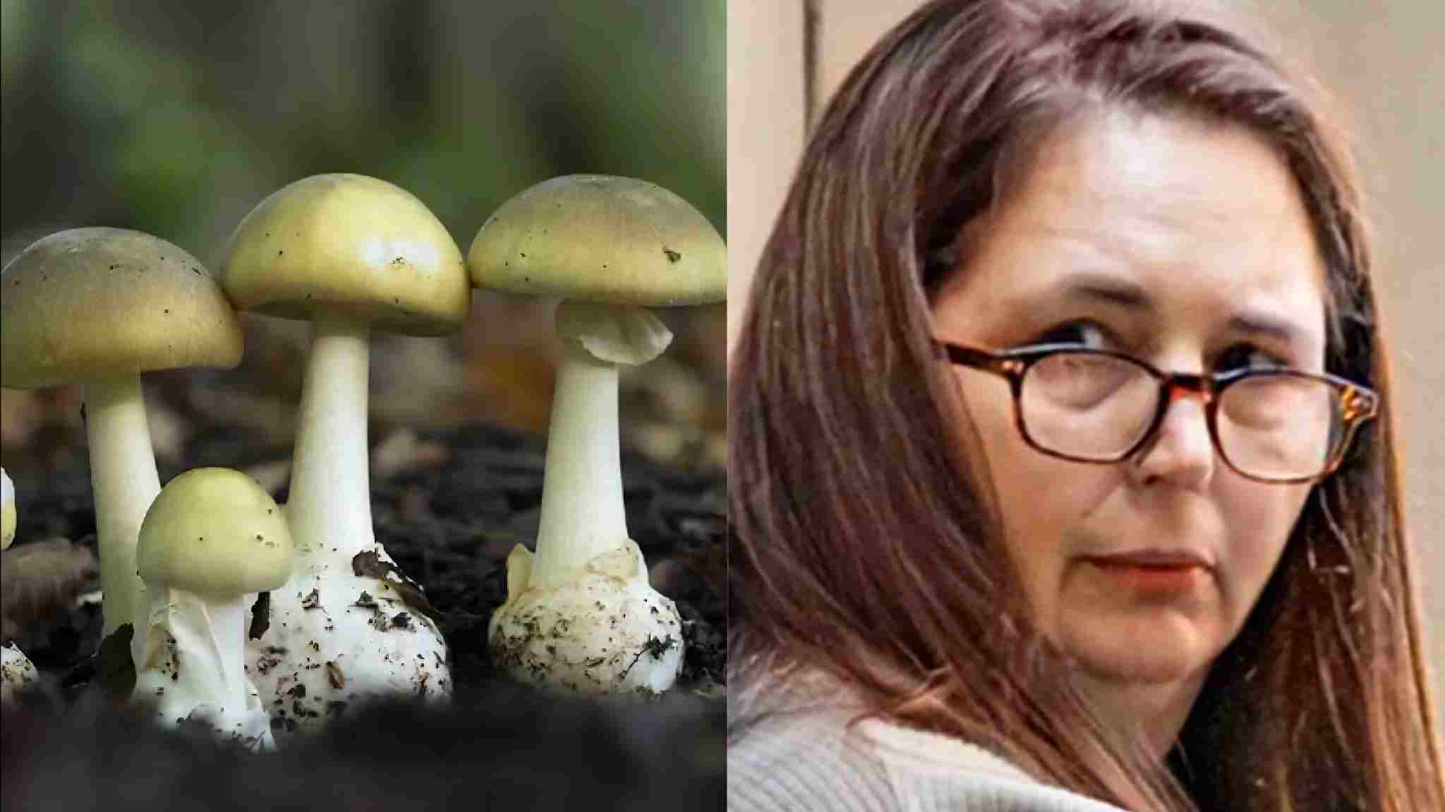 Australia Mushroom Murder