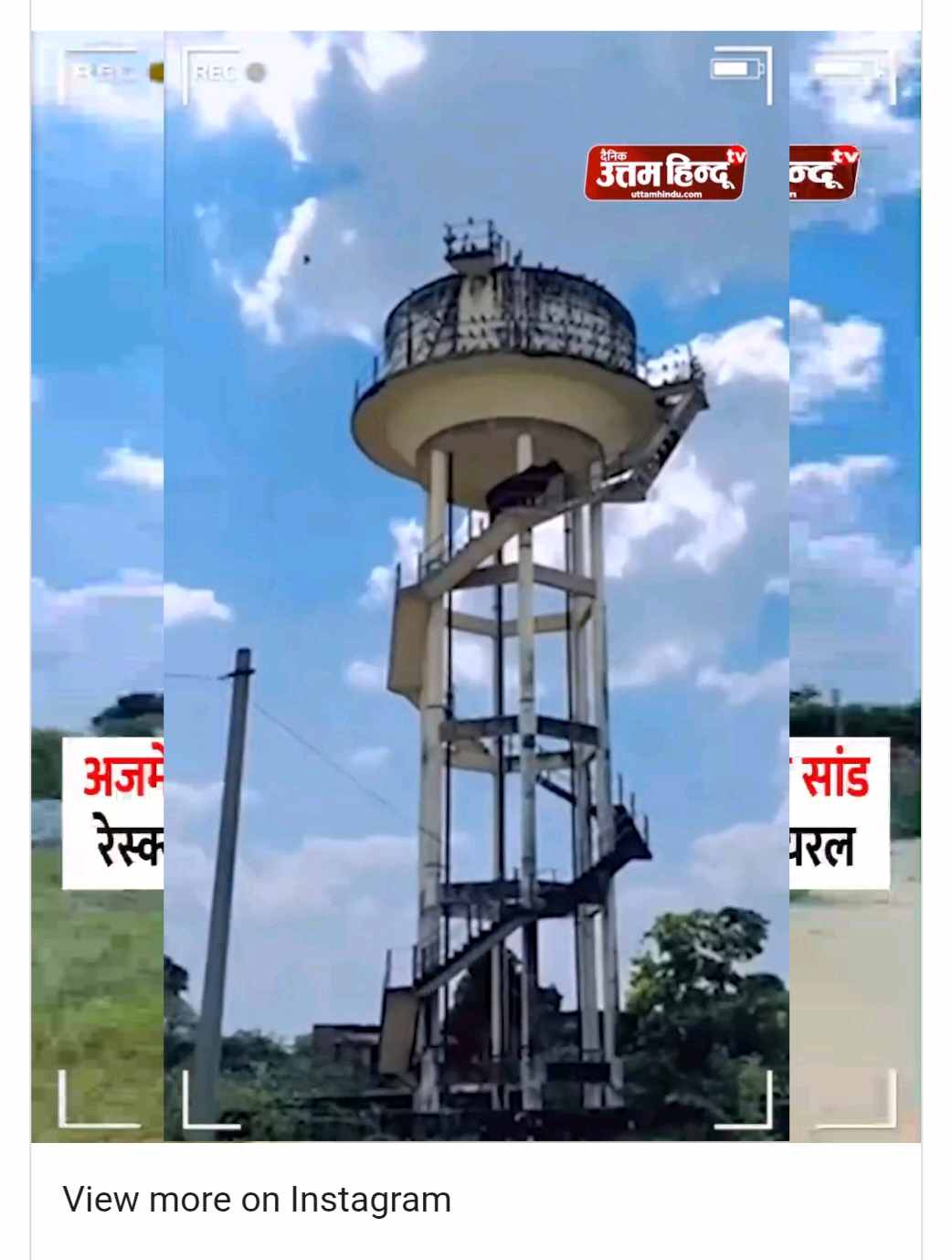 Bull Climbed On Water Tank