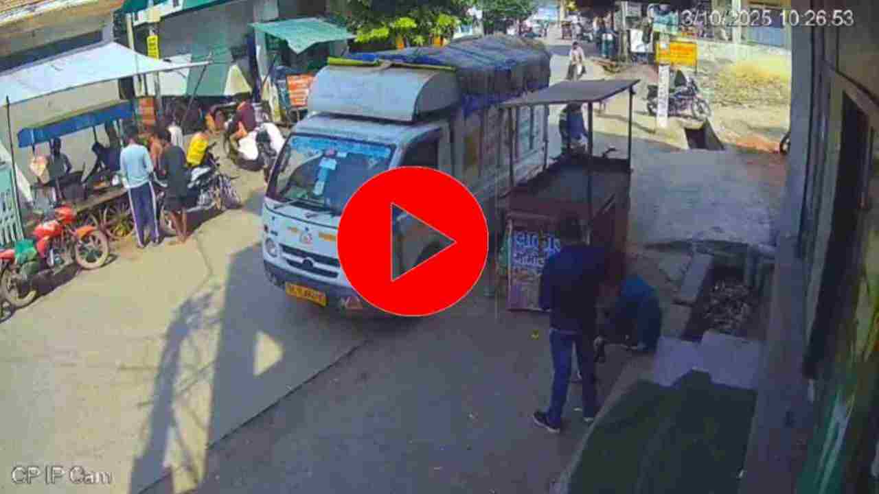 Aligarh Bull Violent New